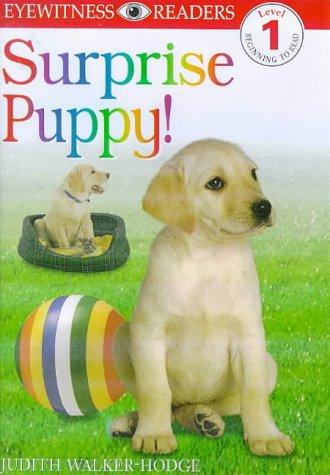 E/W READERS: SURPRISE PUPPY - LEVEL 1 1st Edition - Paper