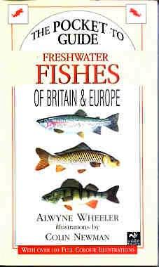 Freshwater Fishes (Compact Guides S.)