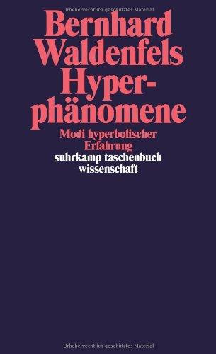 Hyperphänomene: Modi hyperbolischer Erfahrung (suhrkamp taschenbuch wissenschaft)