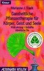 Ganzheitliche Pflanzentherapie für Körper, Geist und Seele: Vitalnahrung - Heilsäfte - Ätherische Öle (Knaur Taschenbücher. Alternativ Heilen)