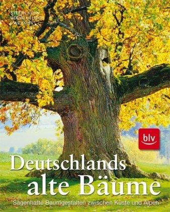 Deutschlands alte Bäume: Eine Bildreise zu den sagenhaften Baumgestalten zwischen Küste und Alpen