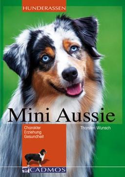 Mini-Aussie: Charakter, Erziehung, Gesundheit