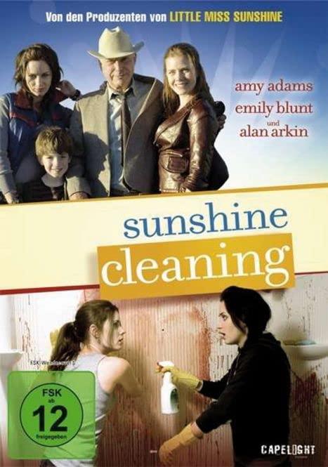 Sunshine Cleaning. DVD.