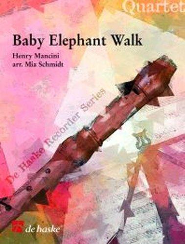 Baby Eléphant Walk