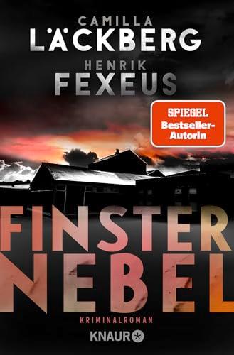 Finsternebel: Kriminalroman | Der Bestseller aus Schweden jetzt im Taschenbuch