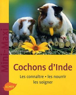 Cochons d'Inde : les connaître, les nourrir, les soigner