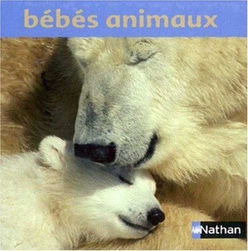 Bébés animaux