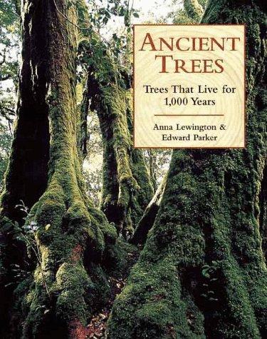 Ancient Trees: Trees That Live for 1,000 Years