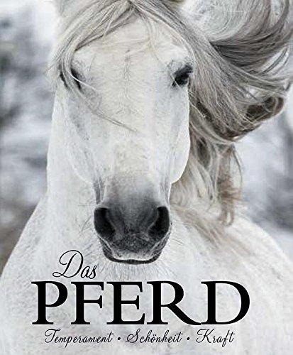 Das Pferd: Temperament, Schönheit, Kraft