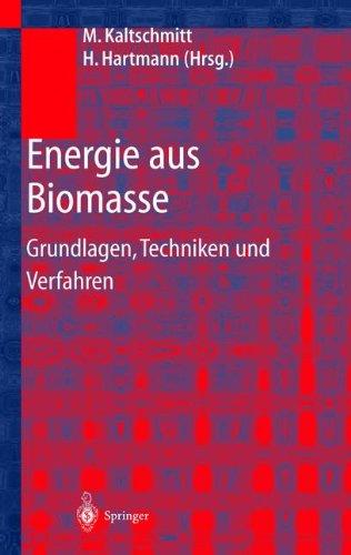 Energie aus Biomasse: Grundlagen, Techniken und Verfahren