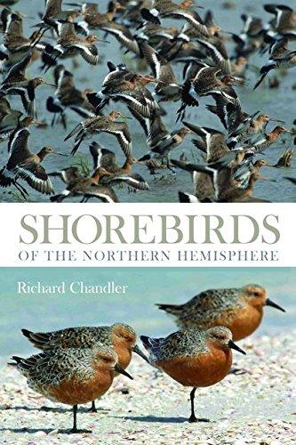 Shorebirds of the Northern Hemisphere (Helm Photographic Guides)