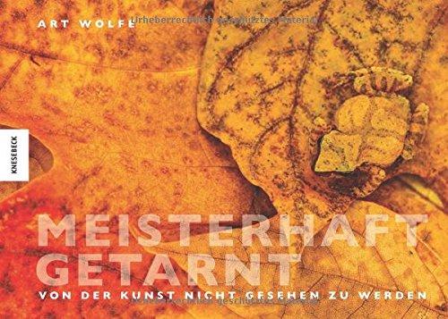 Meisterhaft getarnt: Von der Kunst nicht gesehen zu werden