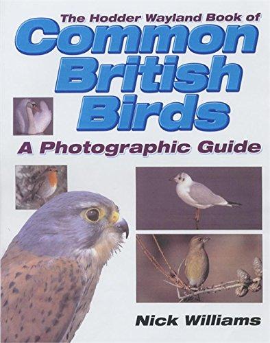 Wayland Book of Common British Birds: A Photographic Guide