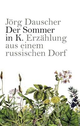 Der Sommer in K.: Erzählung aus einem russischen Dorf