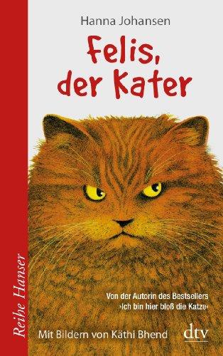 Felis, der Kater