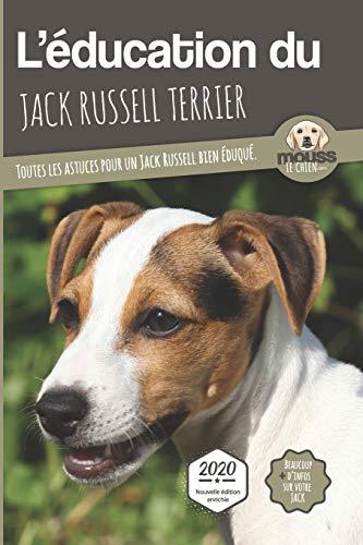 L'éducation du jack russell terrier : toutes les astuces pour un jack russell bien éduqué : 2021