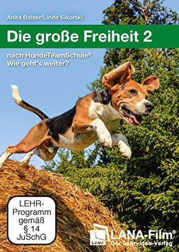 Die große Freiheit 2: nach HundeTeamSchule® Wie geht's weiter?