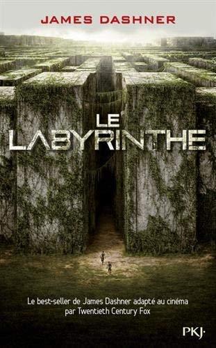 L'?preuve, Tome 1 (French Edition) by James Dashner(1905-07-04)