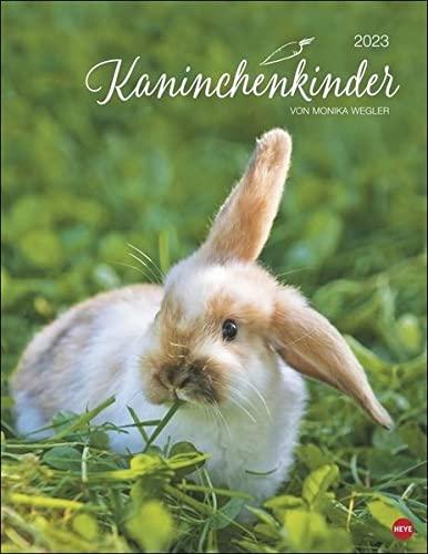 Kaninchenkinder Posterkalender 2023 von Monika Wegler - niedlicher Tier-Wandkalender mit vielen Fotos und lustigen Mini-Geschichten - mit Monatskalendarium - 34 x 44 cm