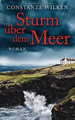 Sturm über dem Meer: Roman