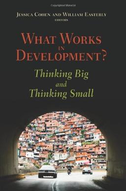 What Works in Development?: Thinking Big and Thinking Small