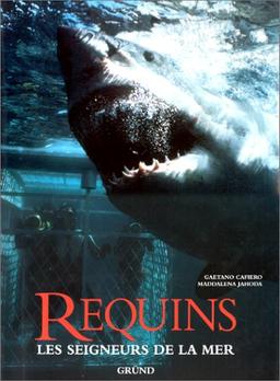 Requins : les seigneurs de la mer