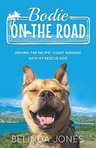 Bodie on the Road: Driving the Pacific Coast Highway with My Rescue Dog