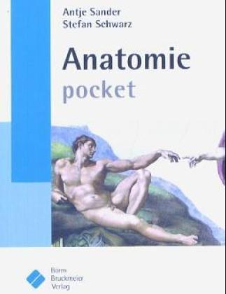 Anatomie pocket