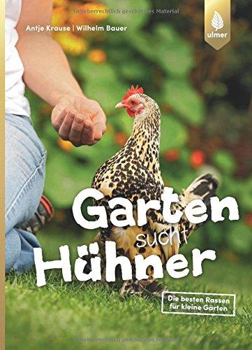 Garten sucht Hühner: Die besten Rassen für kleine Gärten