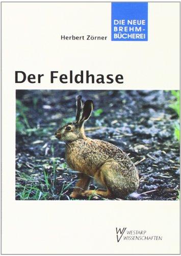 FELDHASE: Lepus europaeus