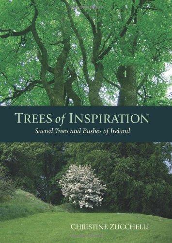 Trees of Inspiration: Sacred Trees and Bushes of Ireland