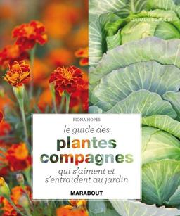 Le guide des plantes compagnes qui s'aiment et s'entraident au jardin