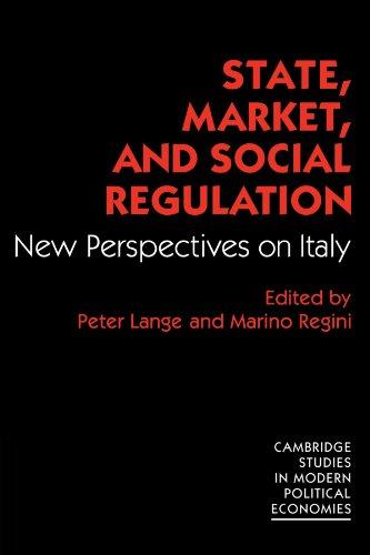 State, Market and Social Regulation: New Perspectives on Italy (Cambridge Studies in Modern Political Economies)