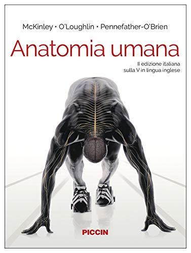 Anatomia umana