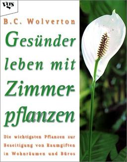 Gesünder leben mit Zimmerpflanzen: Die wichtigsten Pflanzen zur Beseitigung von Raumgiften in Wohnräumen und Büros