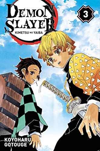 Demon slayer : Kimetsu no yaiba. Vol. 3