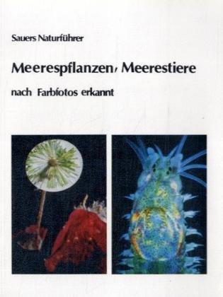 Meerespflanzen, Meerestiere nach Farbfotos erkannt