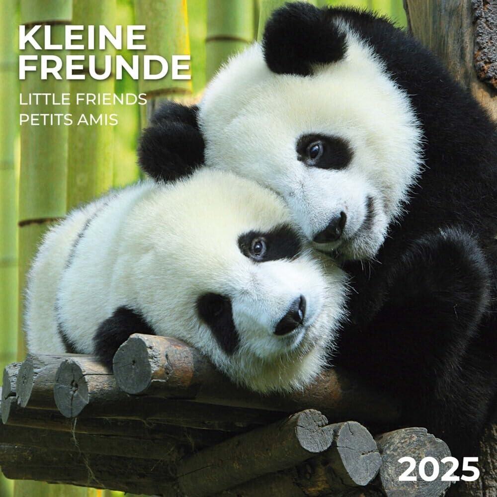 Little Friends/Kleine Freunde 2025: Kalender 2025 (Artwork Edition)