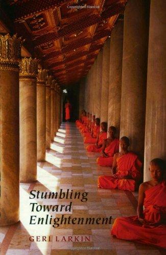 Stumbling Toward Enlightenment