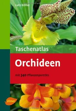 Taschenatlas Orchideen - Mit 340 Pflanzenporträts