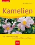 Kamelien