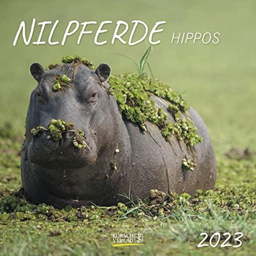 Nilpferde 2023: Broschürenkalender mit Ferienterminen. Format: 30 x 30 cm