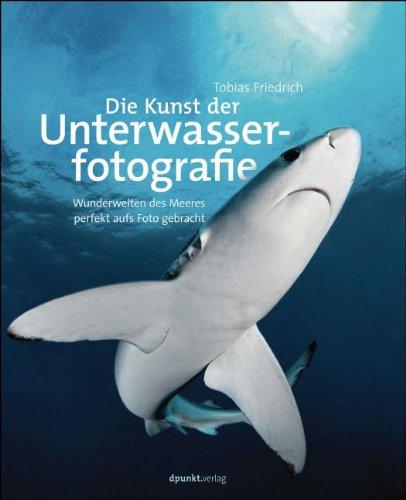 Die Kunst der Unterwasserfotografie: Wunderwelten des Meeres perfekt aufs Foto gebracht