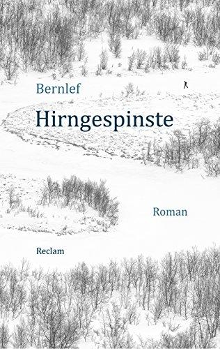 Hirngespinste: Roman (Reclam Taschenbuch)