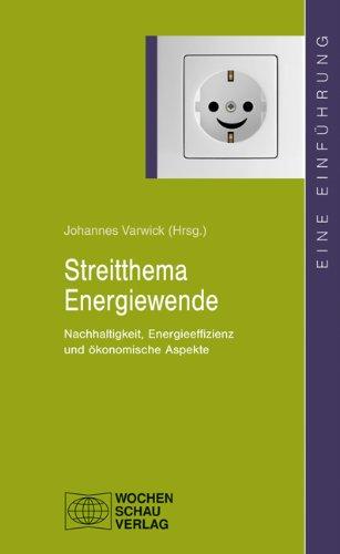 Streitthema Energiewende: Nachhaltigkeit, Energieeffizienz und ökonomische Aspekte