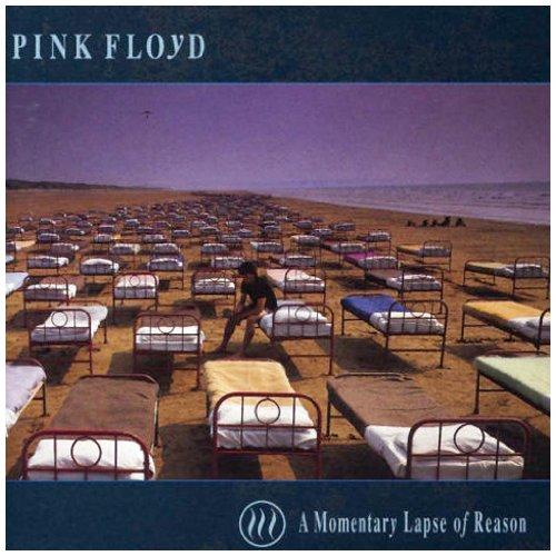 A Momentary Lapse of Reason