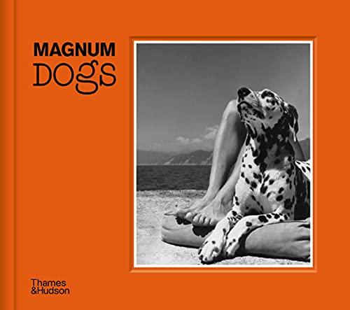 Magnum Dogs