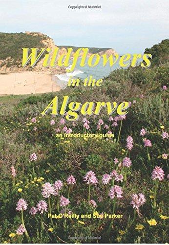 Wildflowers in the Algarve: An Introductory Guide