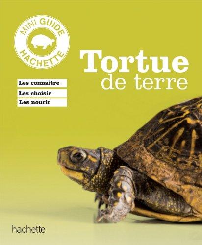 Tortues de terre : les connaître, les choisir, en prendre soin