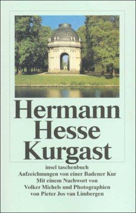 Kurgast: Aufzeichnungen von einer Badener Kur (insel taschenbuch)